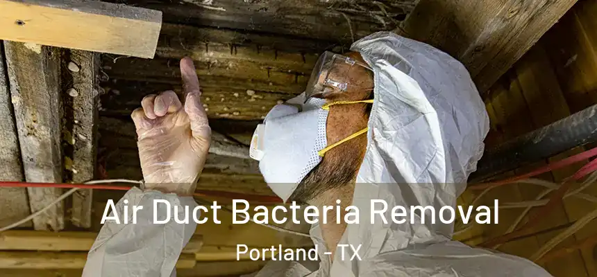 Air Duct Bacteria Removal Portland - TX