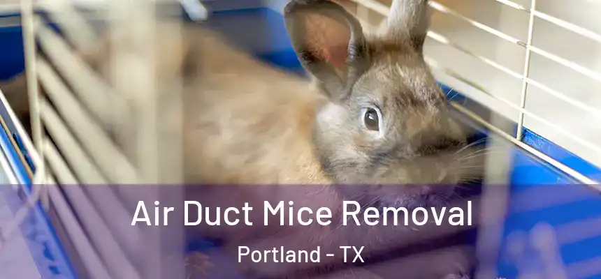  Air Duct Mice Removal Portland - TX