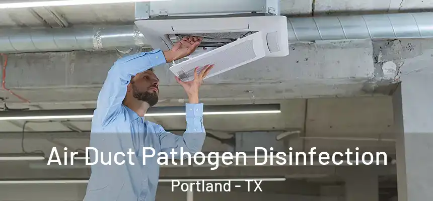  Air Duct Pathogen Disinfection Portland - TX