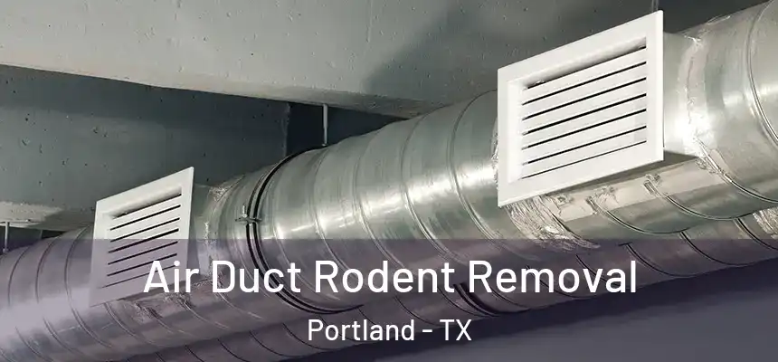  Air Duct Rodent Removal Portland - TX