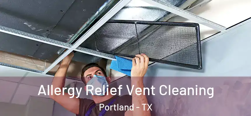 Allergy Relief Vent Cleaning Portland - TX