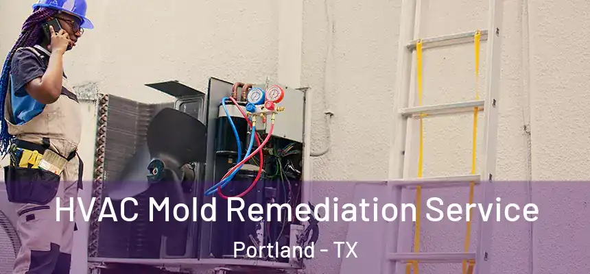 HVAC Mold Remediation Service Portland - TX