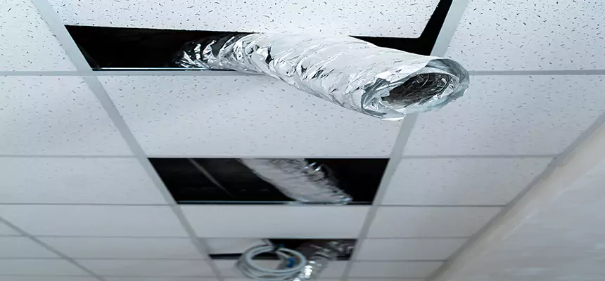 Our Air Duct Pet Hair Removal Services in Portland, TX