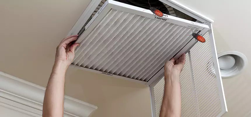 Our Insect Removal from Air Ducts Services in Portland, TX