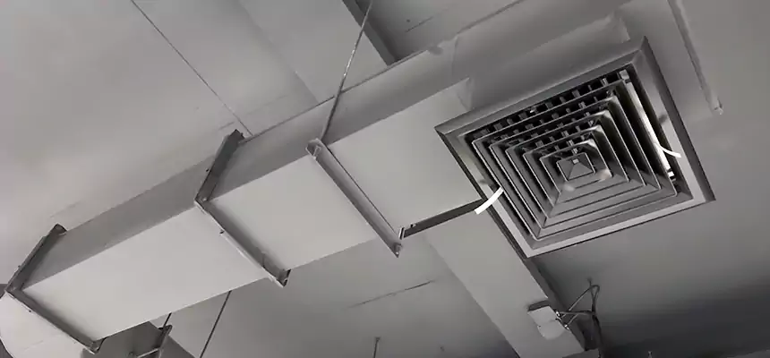 Our Pest Removal From Ducts Services in Portland, TX