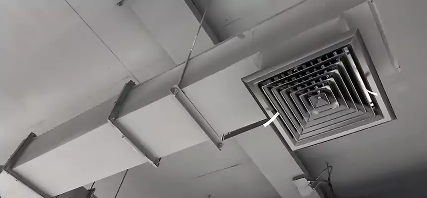 Our Rodent Droppings In Vents Services in Portland, TX