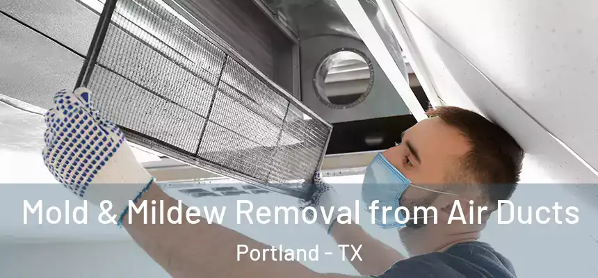  Mold & Mildew Removal from Air Ducts Portland - TX