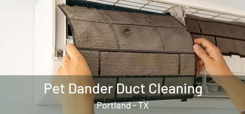 Pet Dander Duct Cleaning Portland - TX