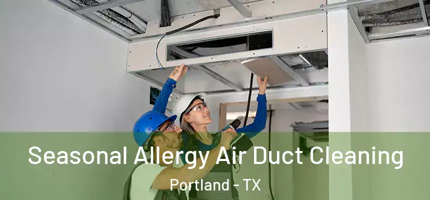 Seasonal Allergy Air Duct Cleaning Portland - TX