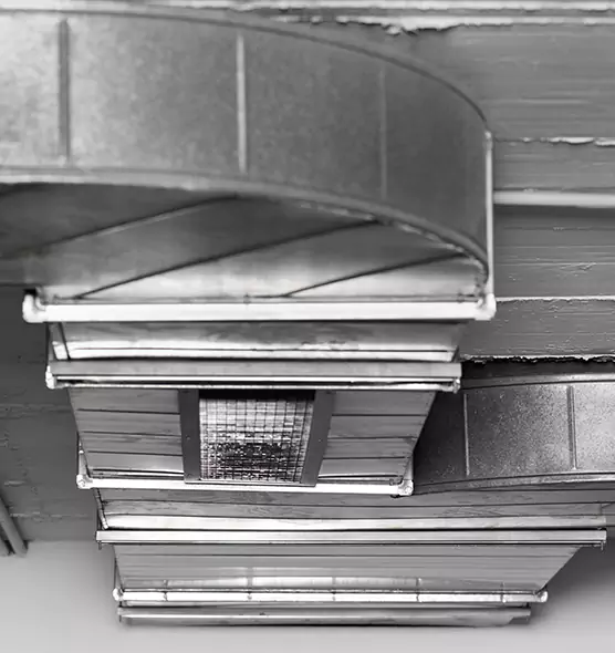 Professional Air Duct Pest Removal in Portland, TX