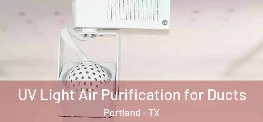  UV Light Air Purification for Ducts Portland - TX